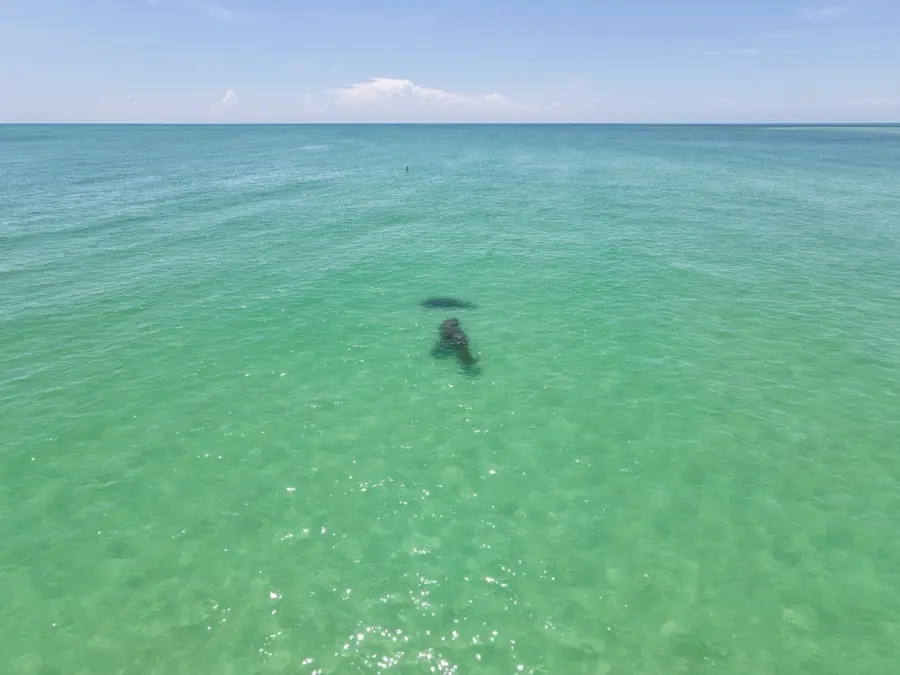 Clear Gulf water from above