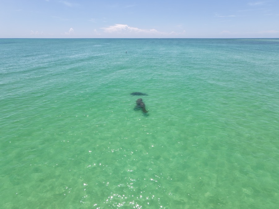 Clear Gulf water from above
