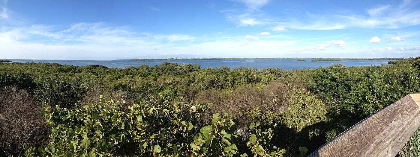 Panoramic view over mangroves to Tampa Bay from the tower at Emerson Point Preserve