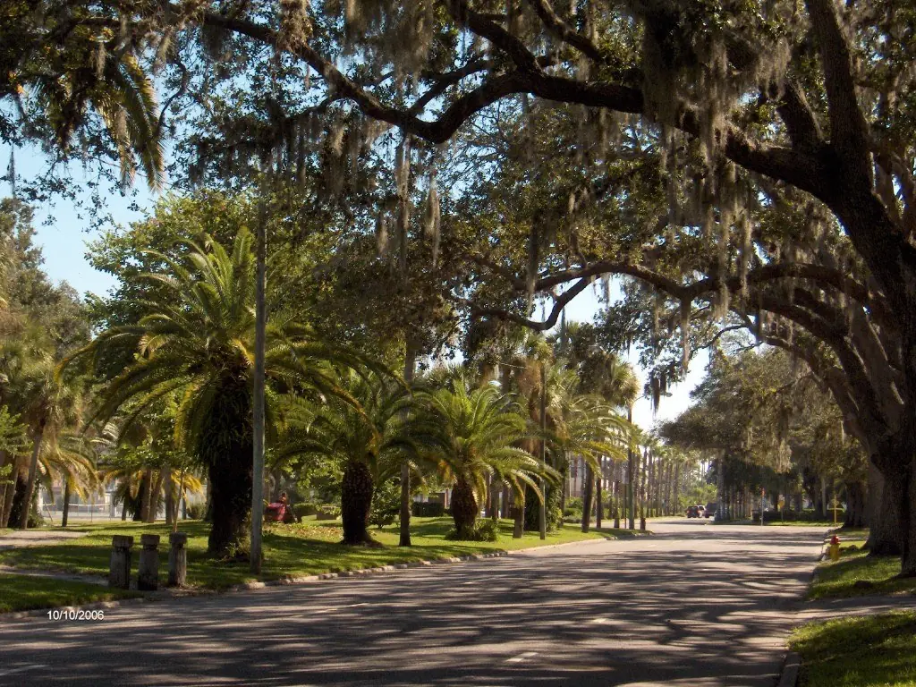 Wide landscaped Venice Avenue in the historic downtown of Venice Florida